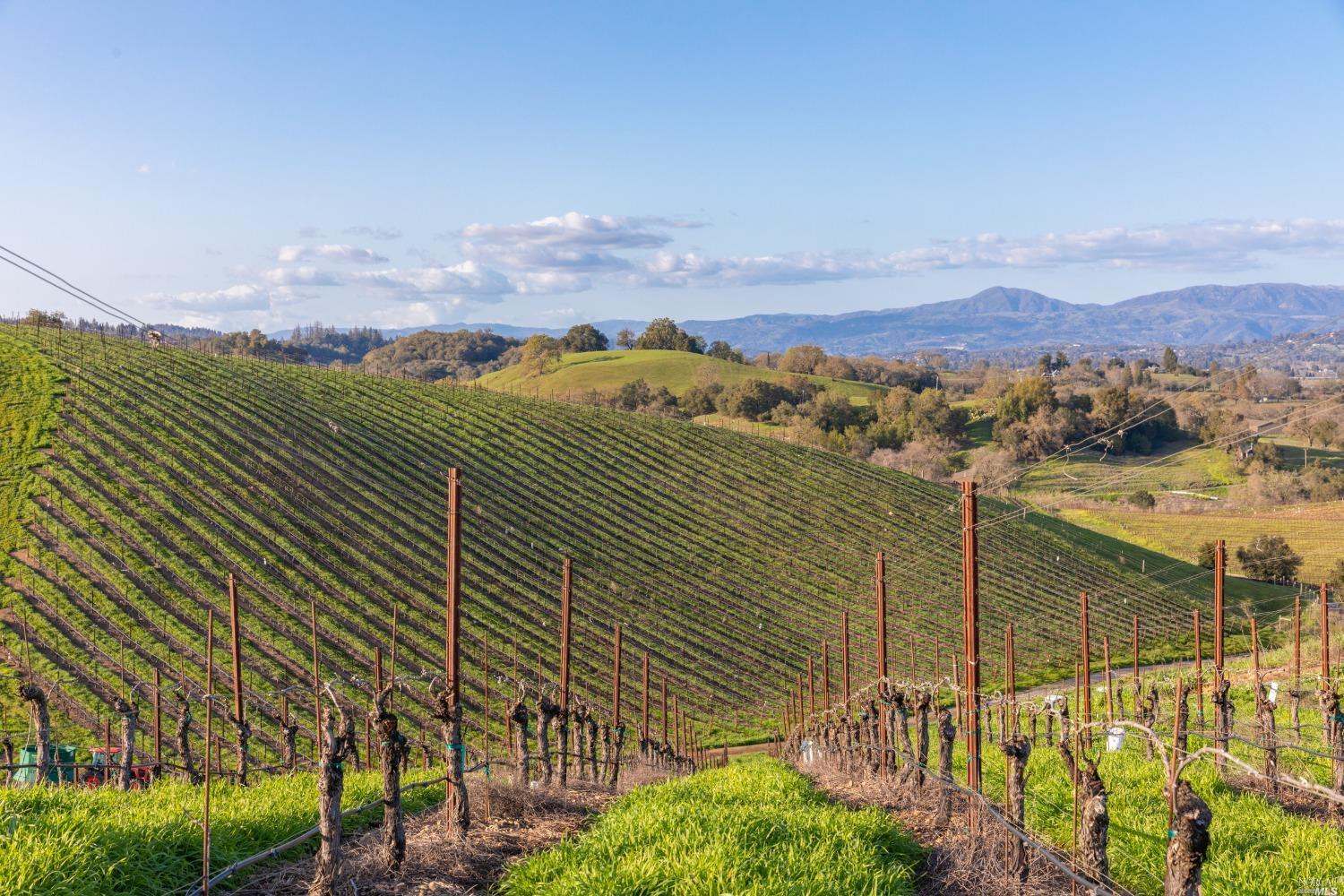 5285 Westside Road Healdsburg CA 95448