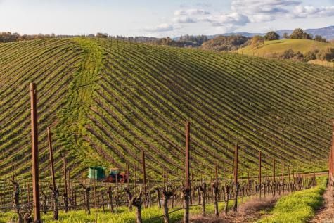 5285 Westside Road Healdsburg CA 95448