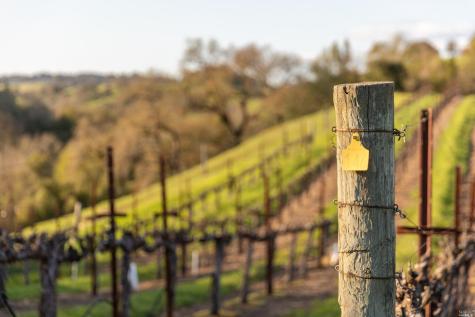 5285 Westside Road Healdsburg CA 95448