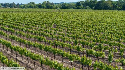 0 Kinley Drive Healdsburg CA 95448