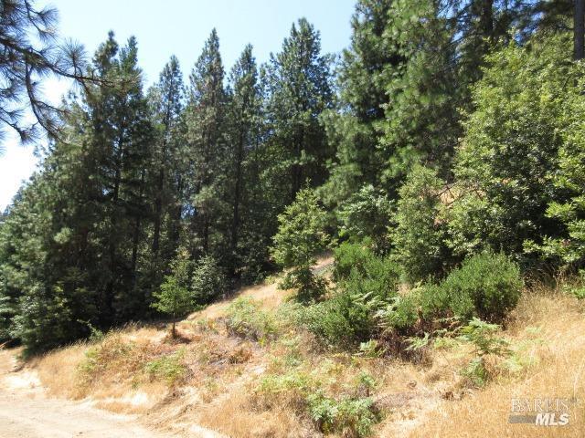 23480 Fort Ross Road Cazadero CA 95421