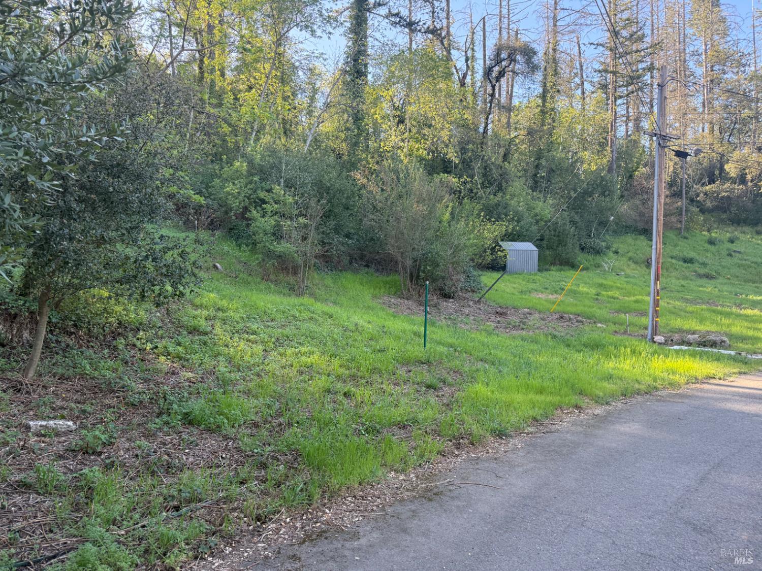 389 Circle Drive Angwin CA 94508