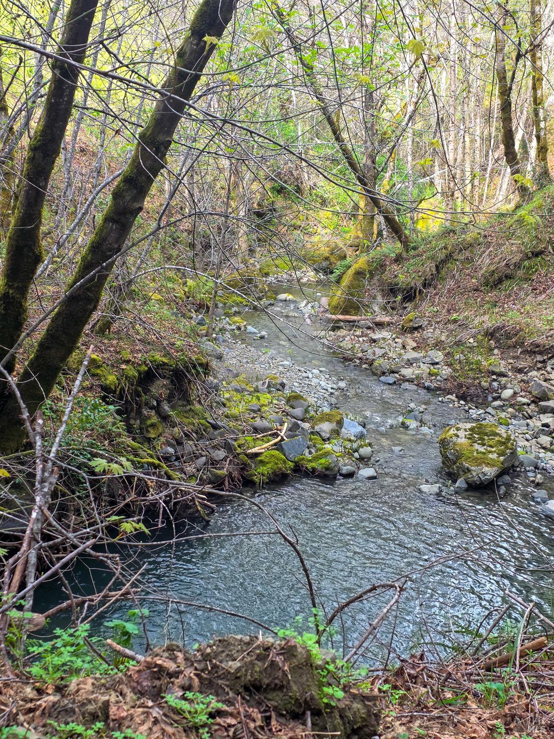 8735 Woodman Creek Road Laytonville CA 95454