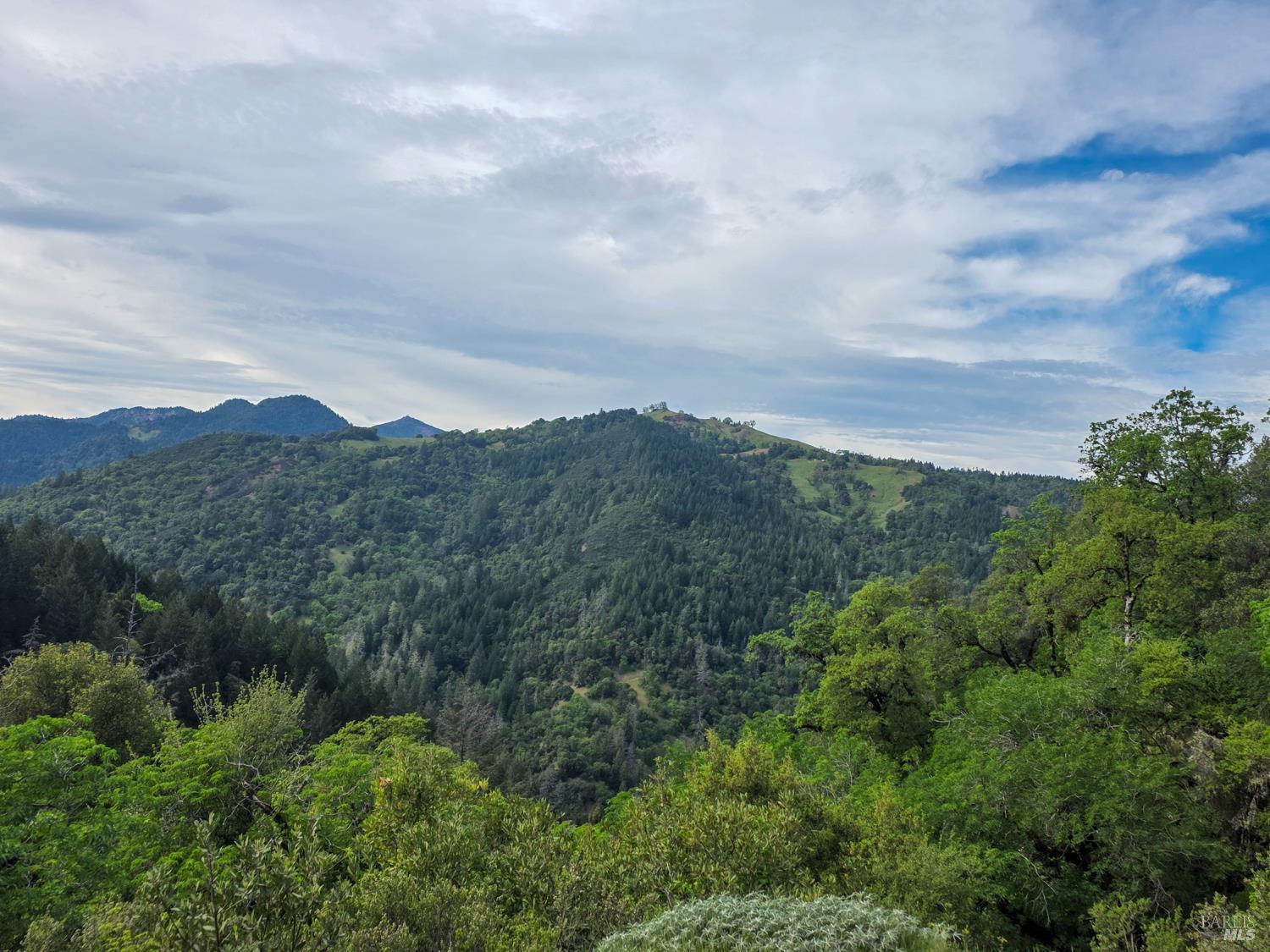 8735 Woodman Creek Road Laytonville CA 95454