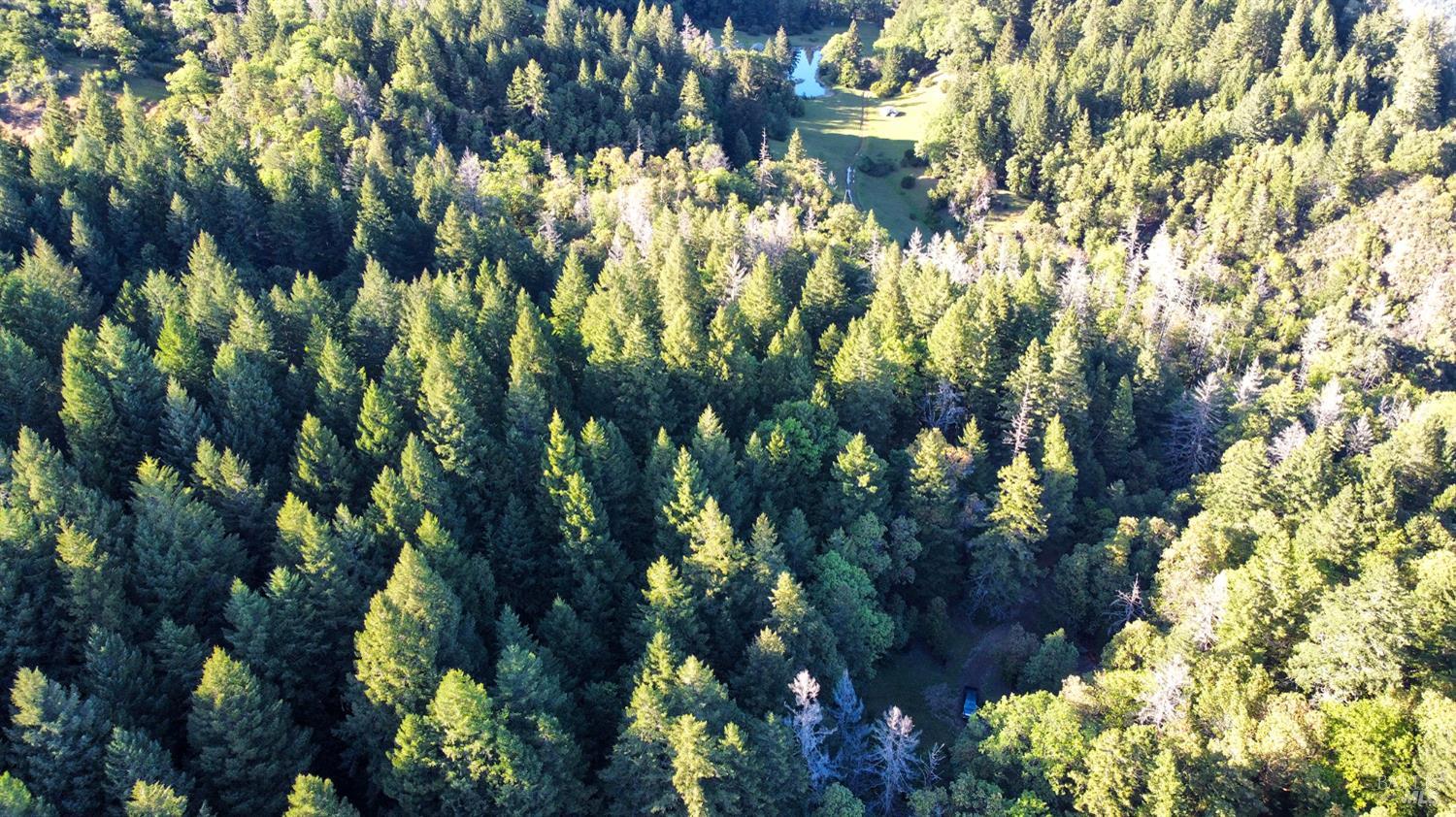 8735 Woodman Creek Road Laytonville CA 95454