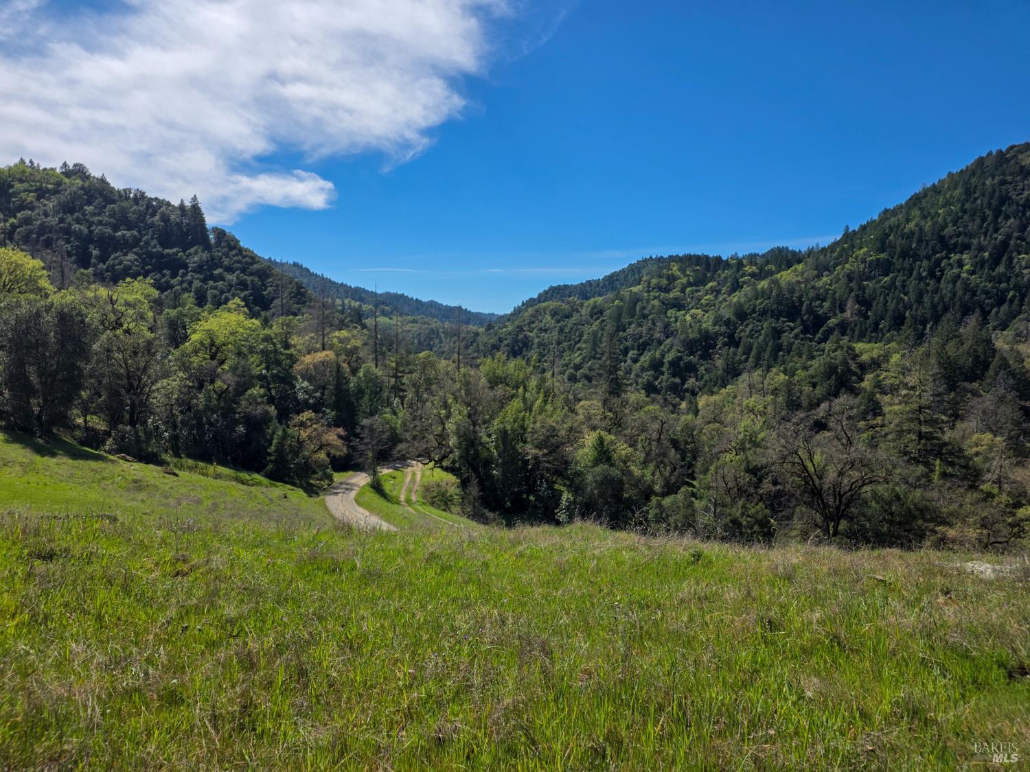 8735 Woodman Creek Road Laytonville CA 95454