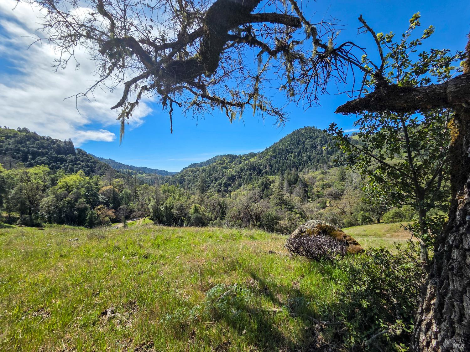 8735 Woodman Creek Road Laytonville CA 95454