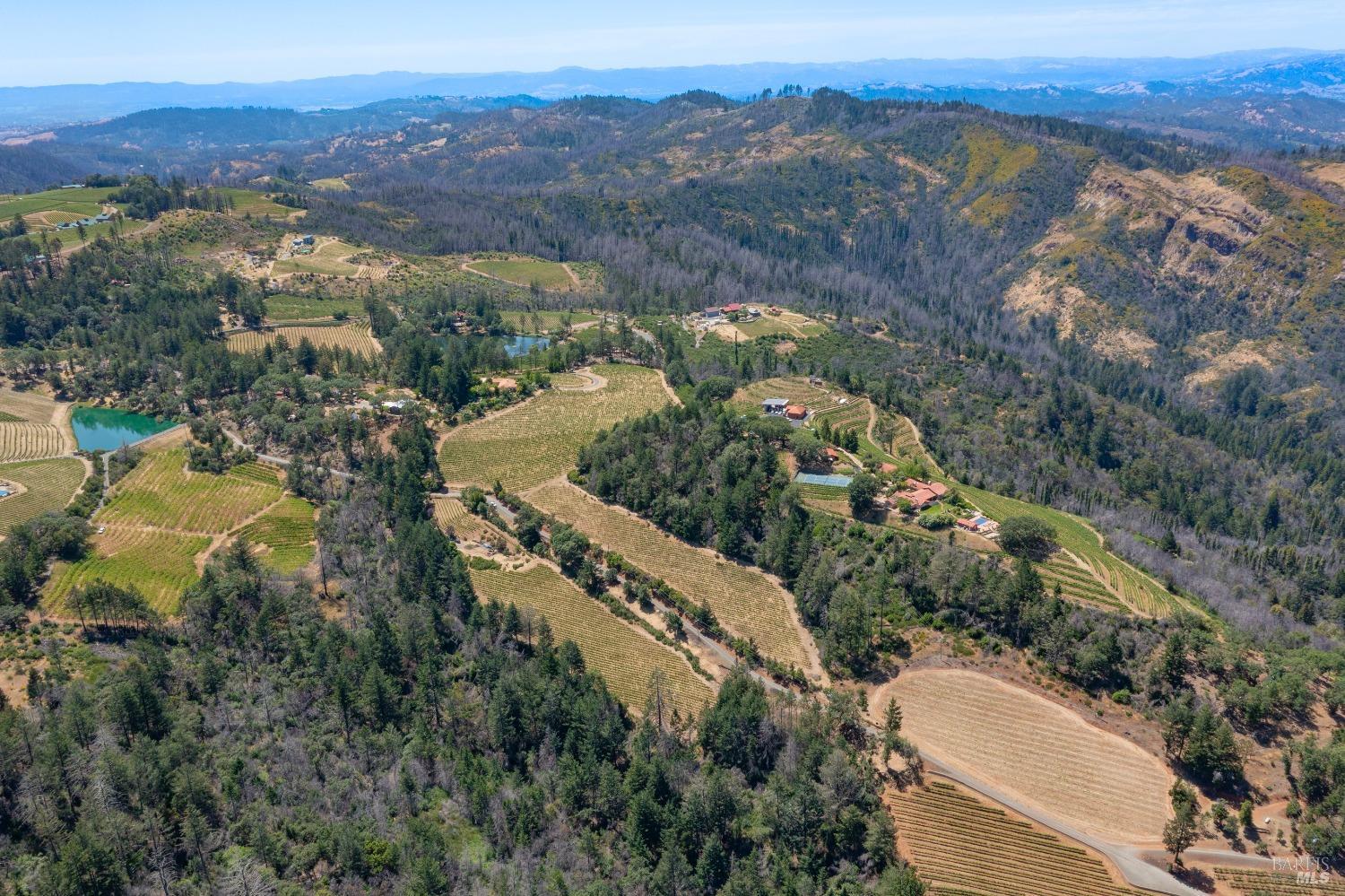 4046 Spring Mountain Road St. Helena CA 94574