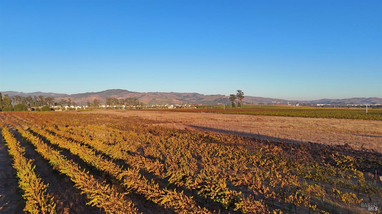2110 Cuttings Wharf Road Napa CA 94559