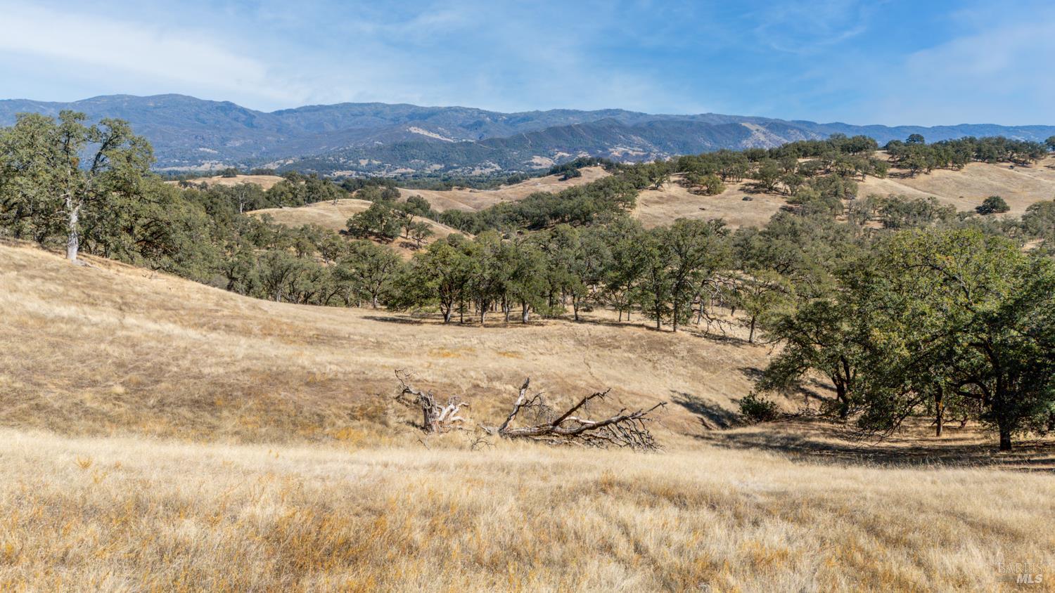 8305 N State Highway 29 Highway Upper Lake CA 95485