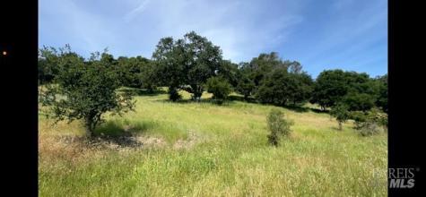 0 Alameda Del Prado Novato CA 94949