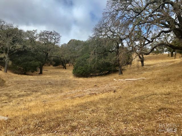 0 Alameda Del Prado Novato CA 94949