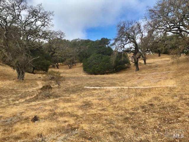 0 Alameda Del Prado Novato CA 94949