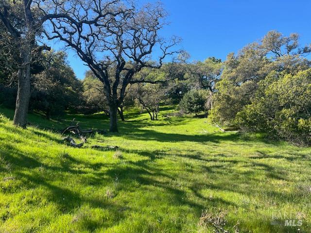 0 Alameda Del Prado Novato CA 94949