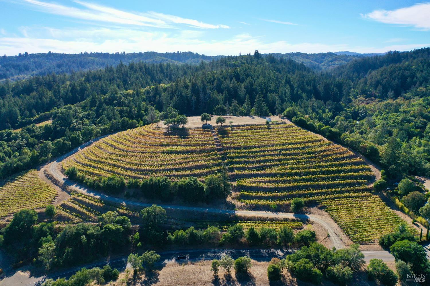 19853 Geyserville Avenue Geyserville CA 95441