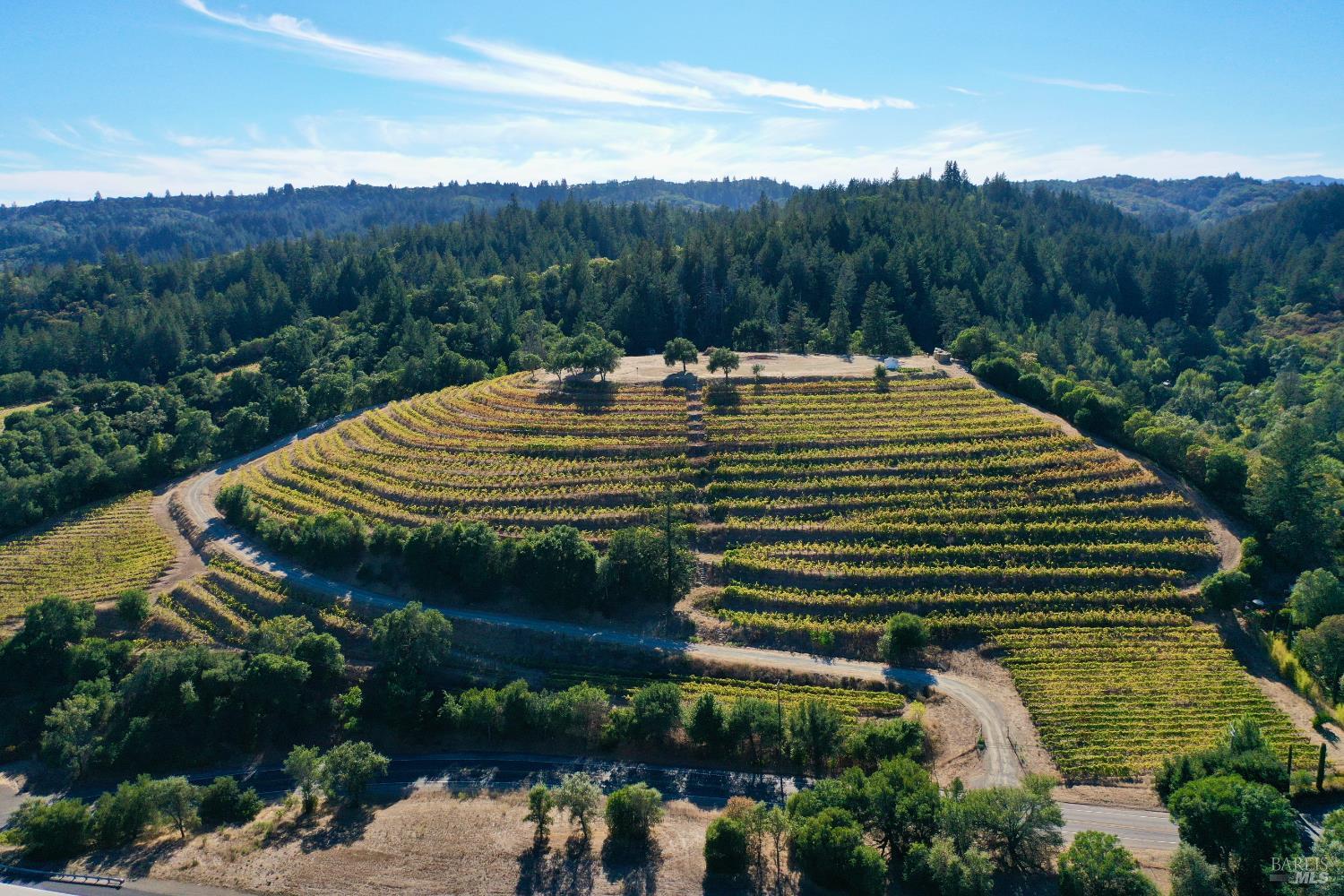 19853 Geyserville Avenue Geyserville CA 95441