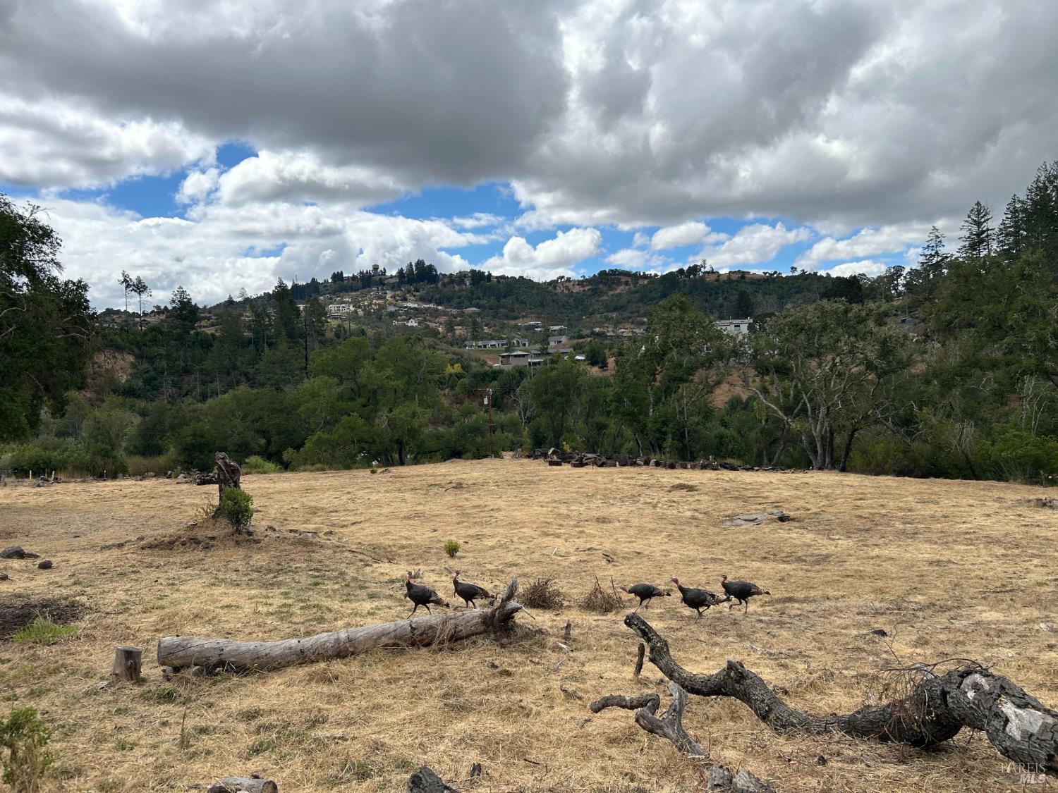 1225 Michele Way Santa Rosa CA 95404