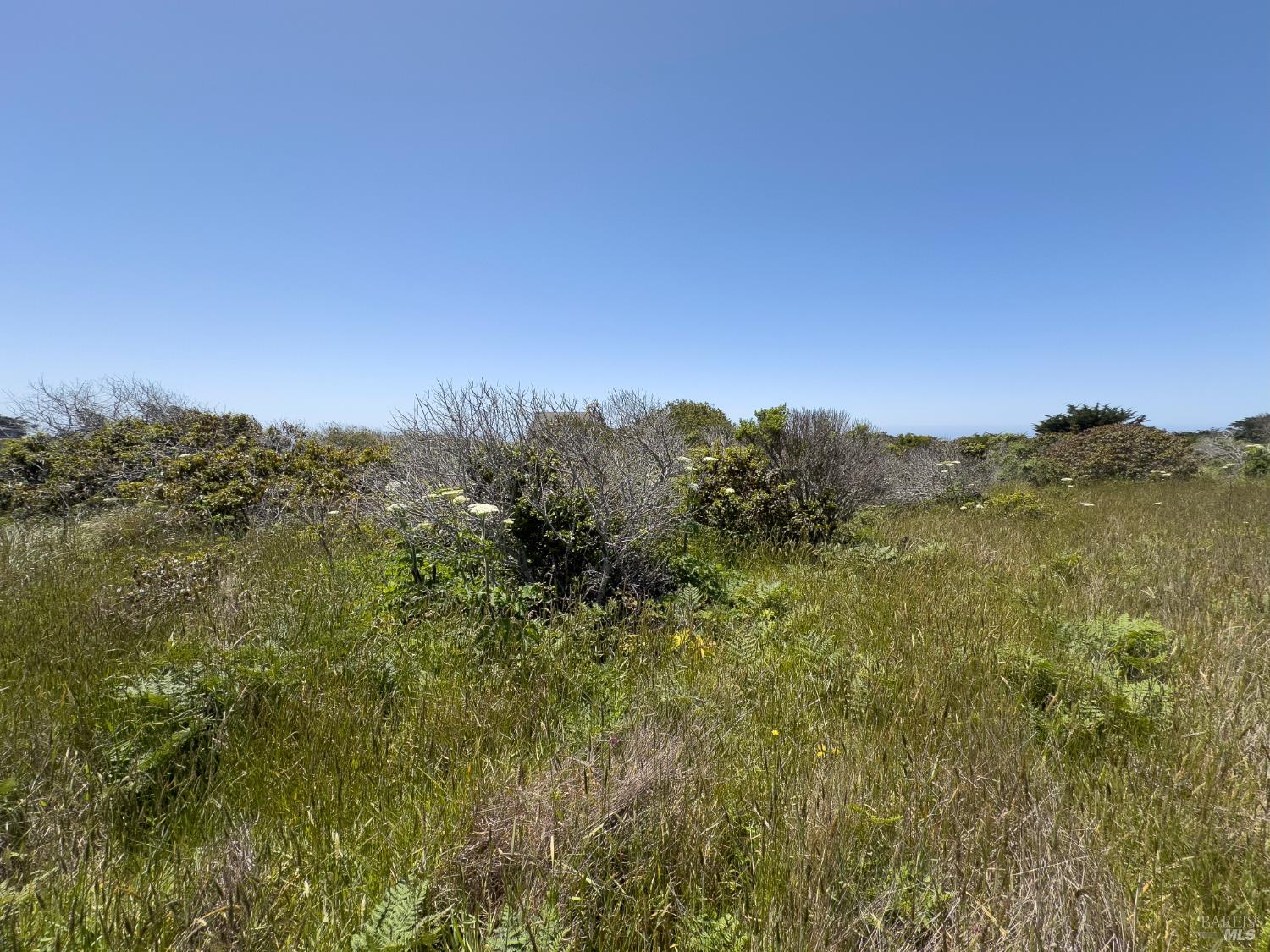 56 Sea Meadow Drive The Sea Ranch CA 95497