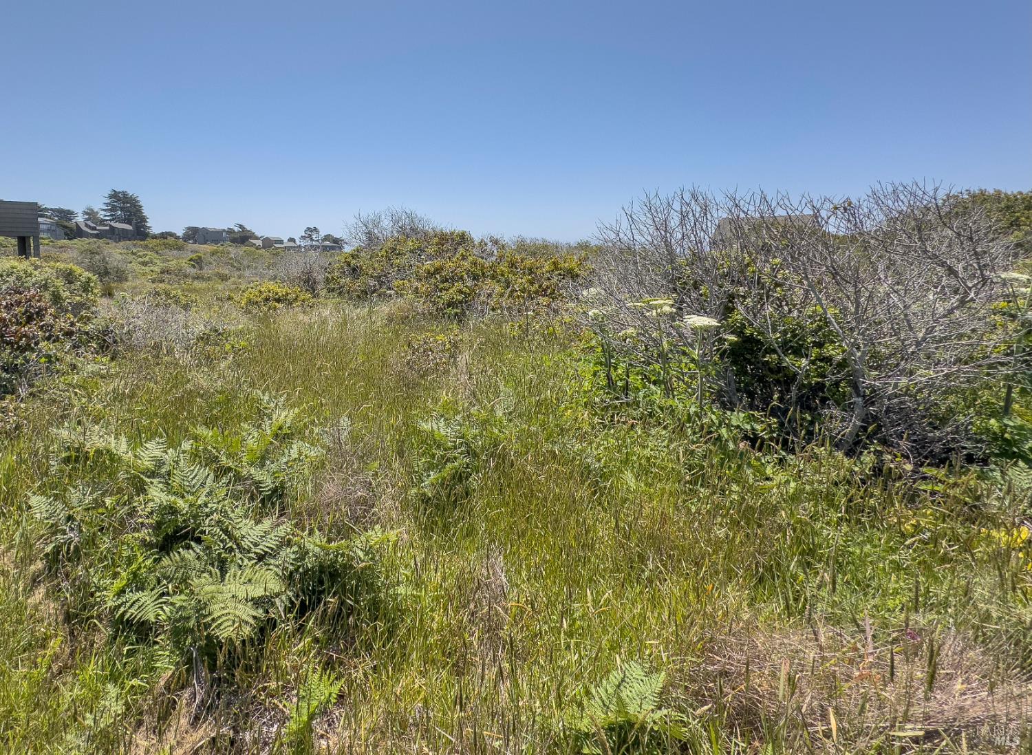 56 Sea Meadow Drive The Sea Ranch CA 95497