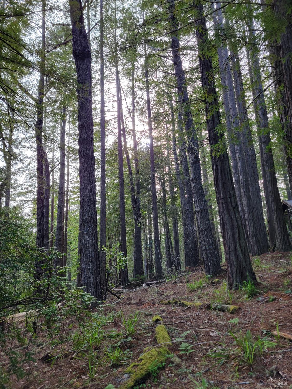 35136 Timber Ridge Road The Sea Ranch CA 95497
