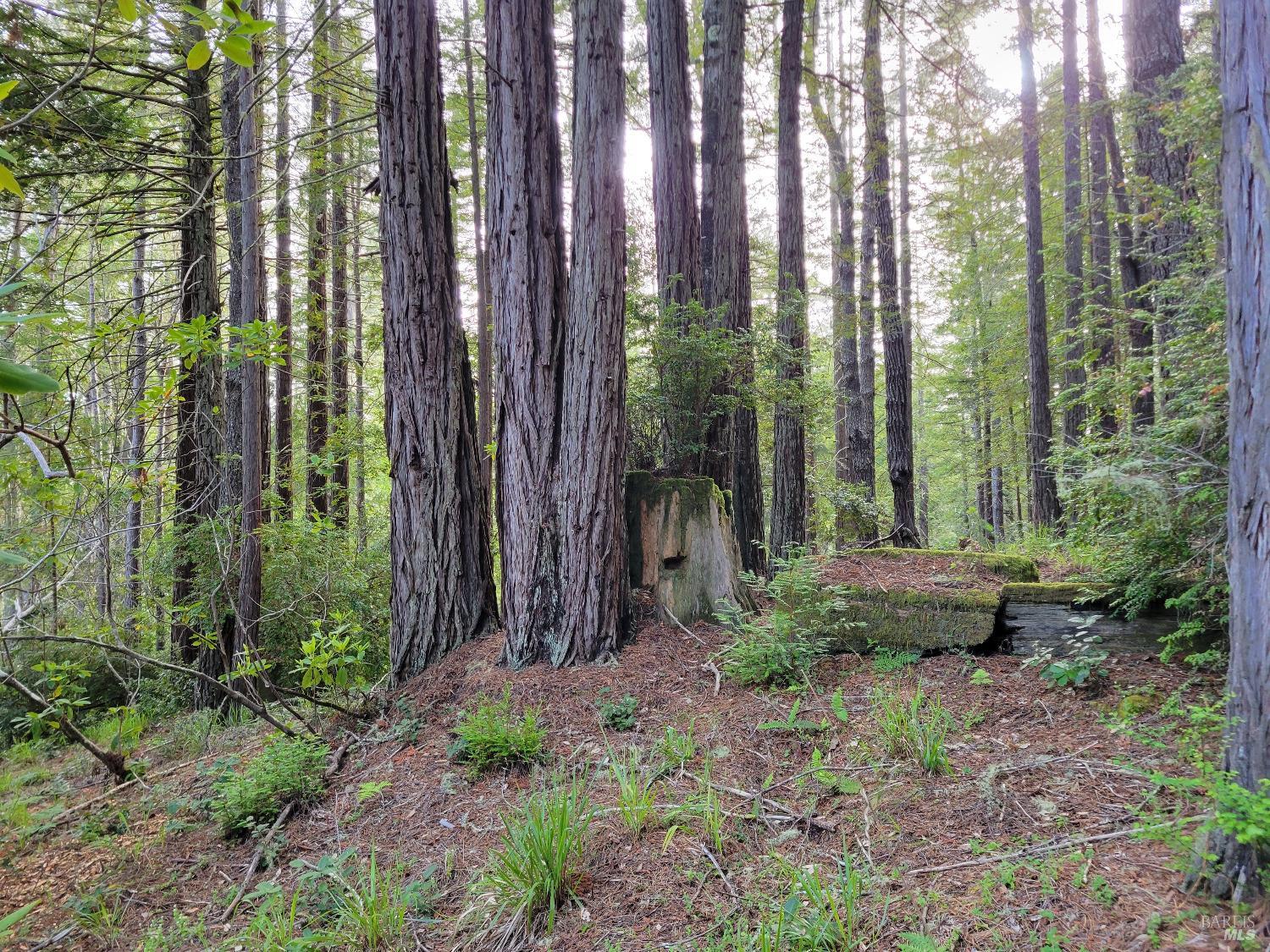 35136 Timber Ridge Road The Sea Ranch CA 95497