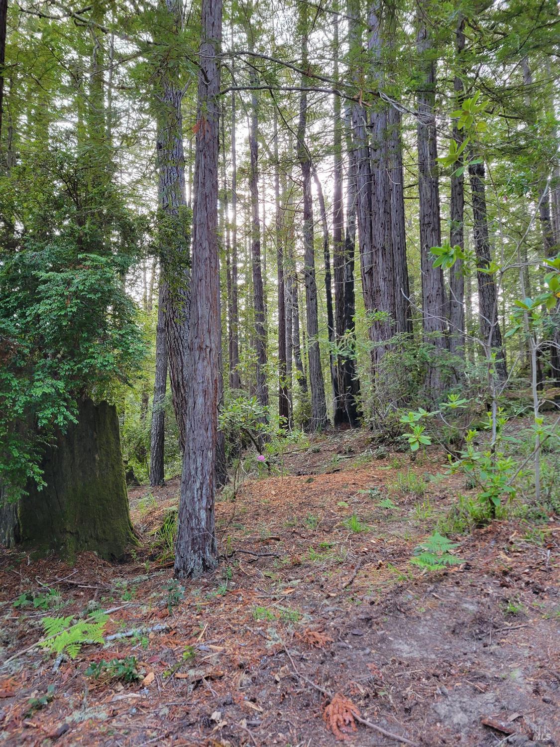 35136 Timber Ridge Road The Sea Ranch CA 95497
