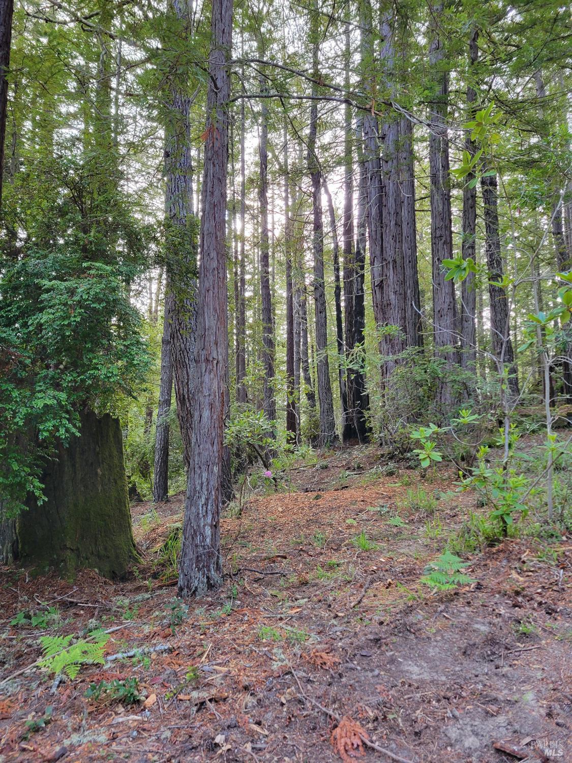 35136 Timber Ridge Road The Sea Ranch CA 95497
