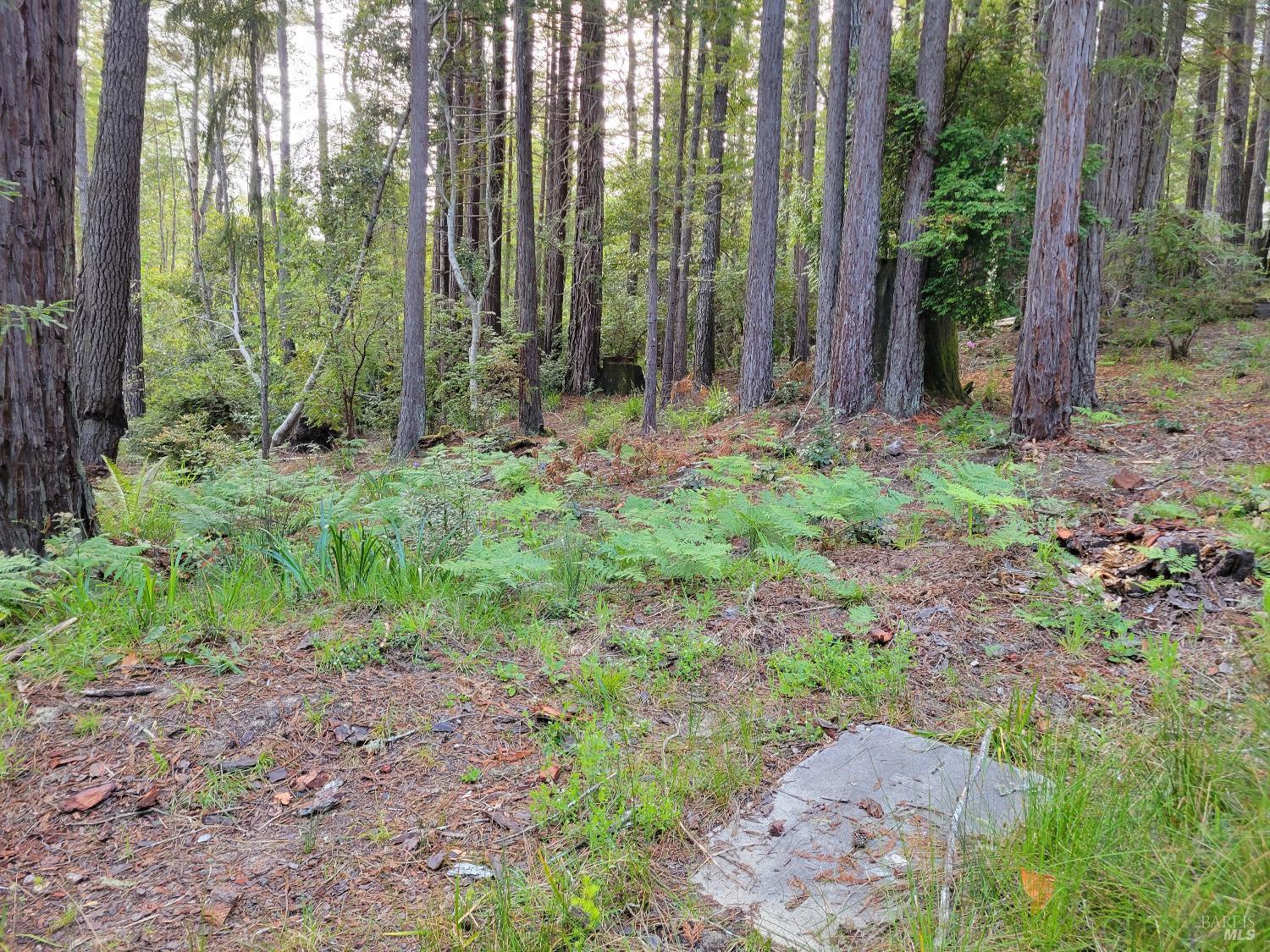35136 Timber Ridge Road The Sea Ranch CA 95497