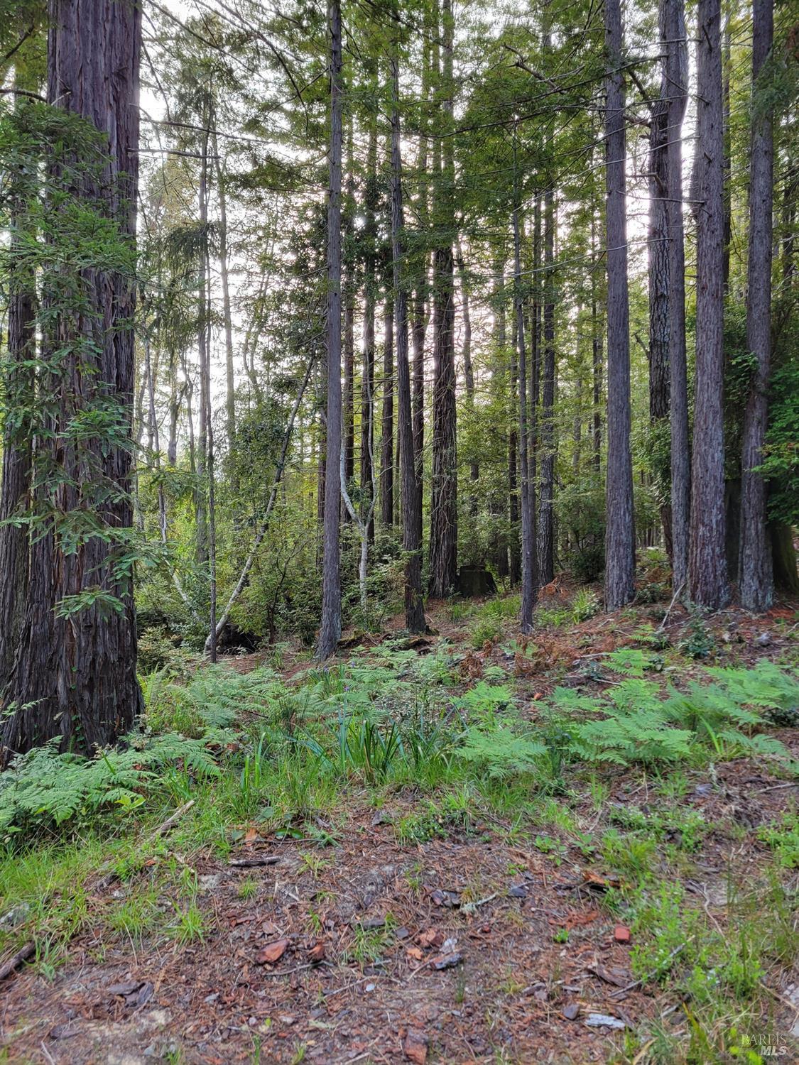 35136 Timber Ridge Road The Sea Ranch CA 95497