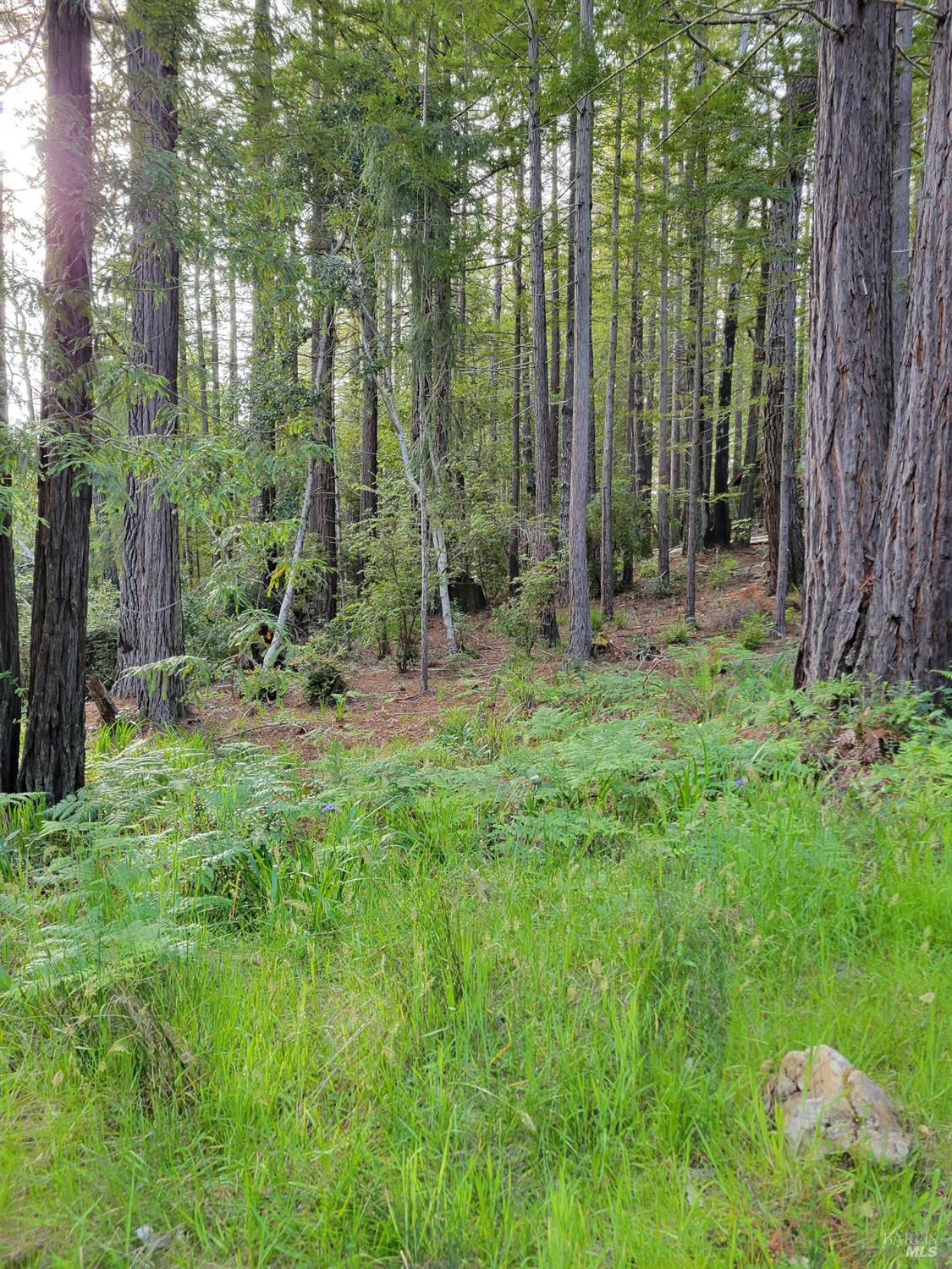 35136 Timber Ridge Road The Sea Ranch CA 95497