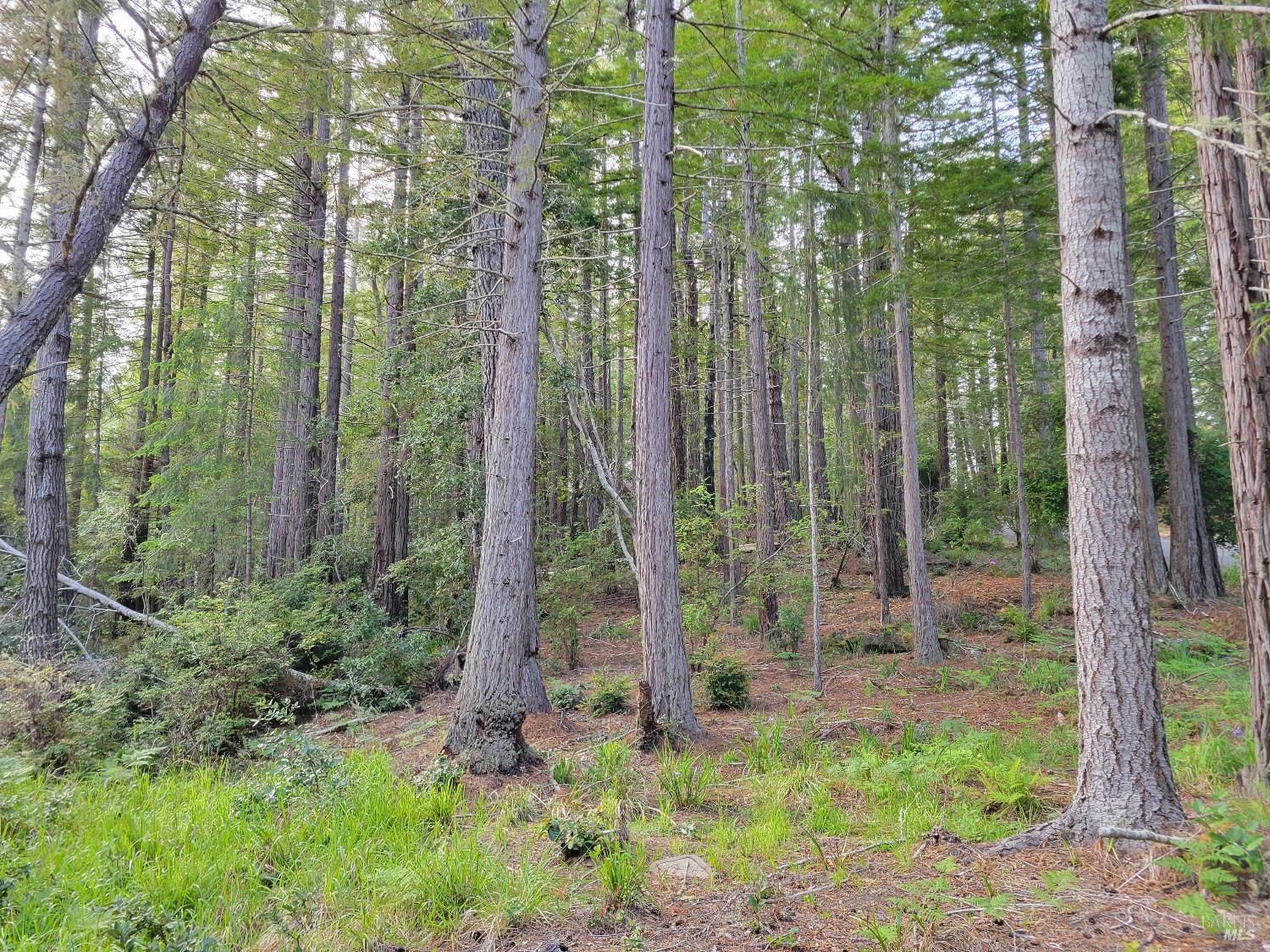 35136 Timber Ridge Road The Sea Ranch CA 95497