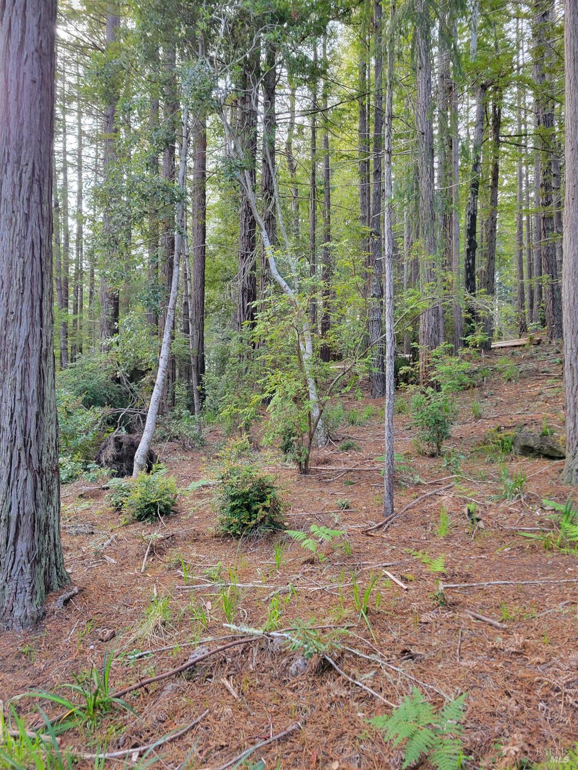 35136 Timber Ridge Road The Sea Ranch CA 95497