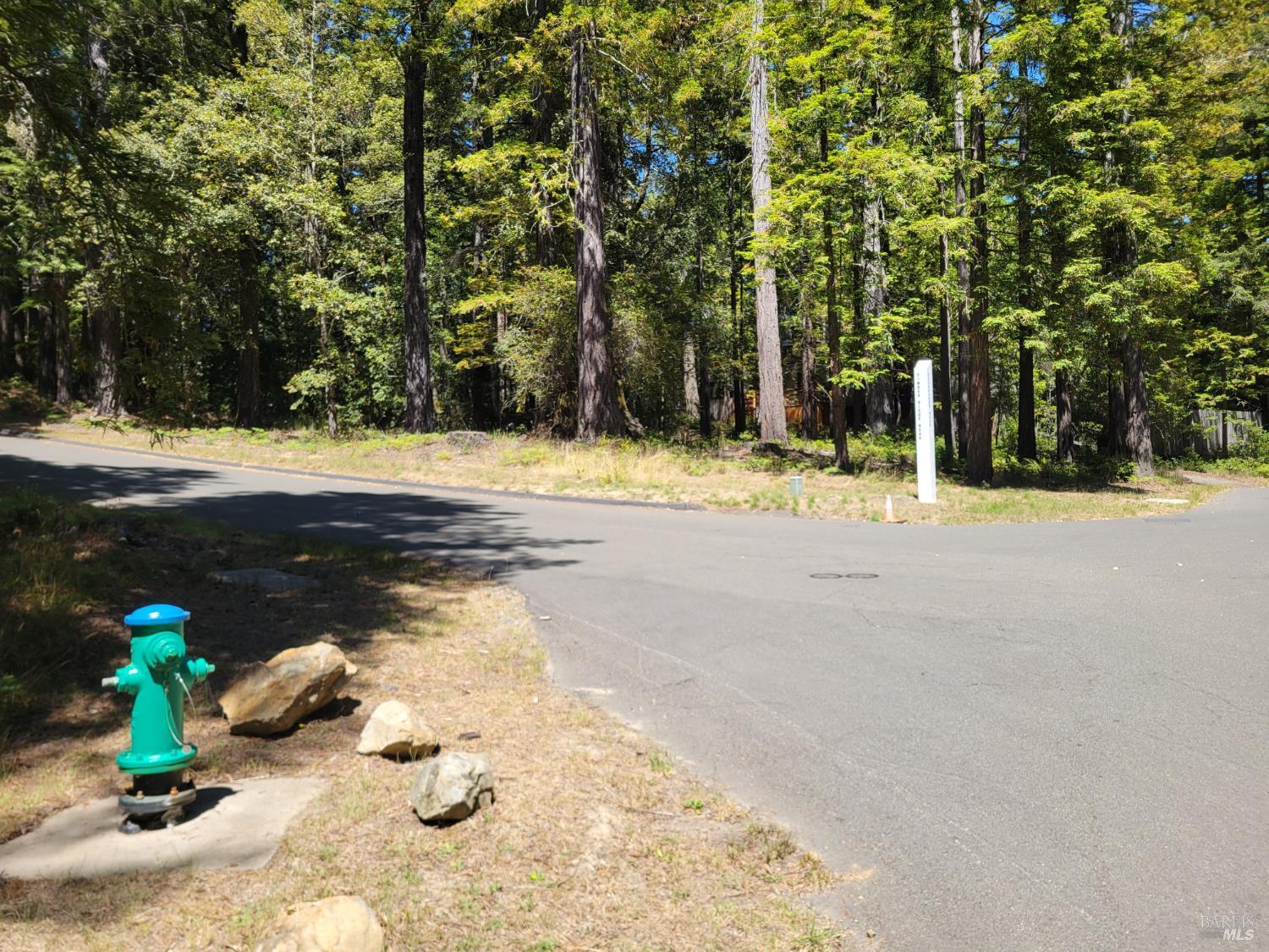 35136 Timber Ridge Road The Sea Ranch CA 95497