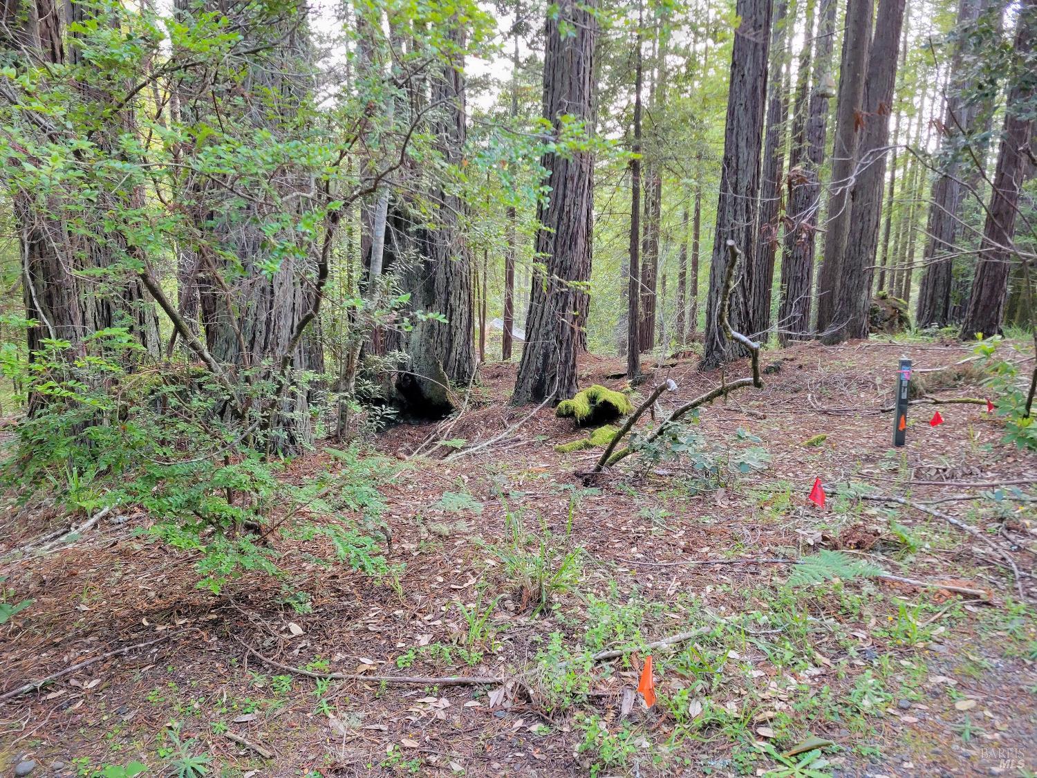 35136 Timber Ridge Road The Sea Ranch CA 95497