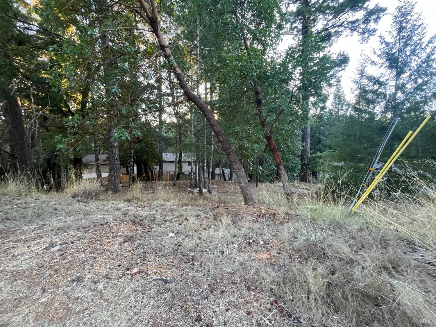 25350 Madrone Place Willits CA 95490