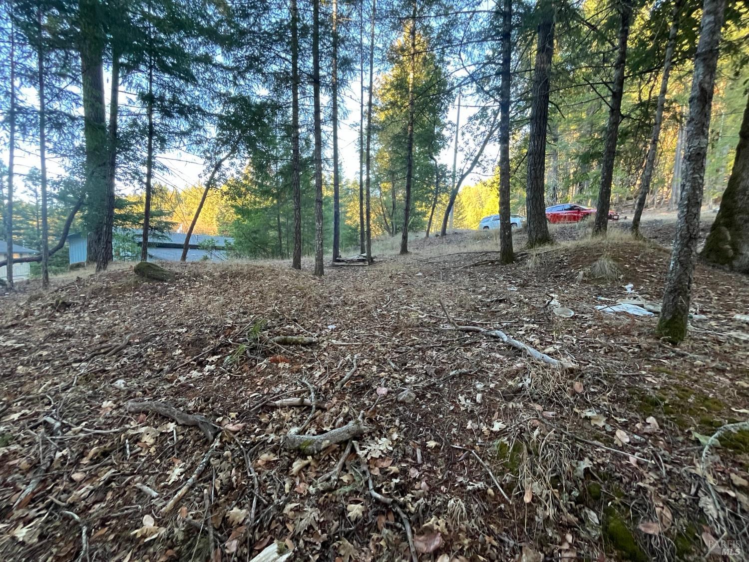 25350 Madrone Place Willits CA 95490