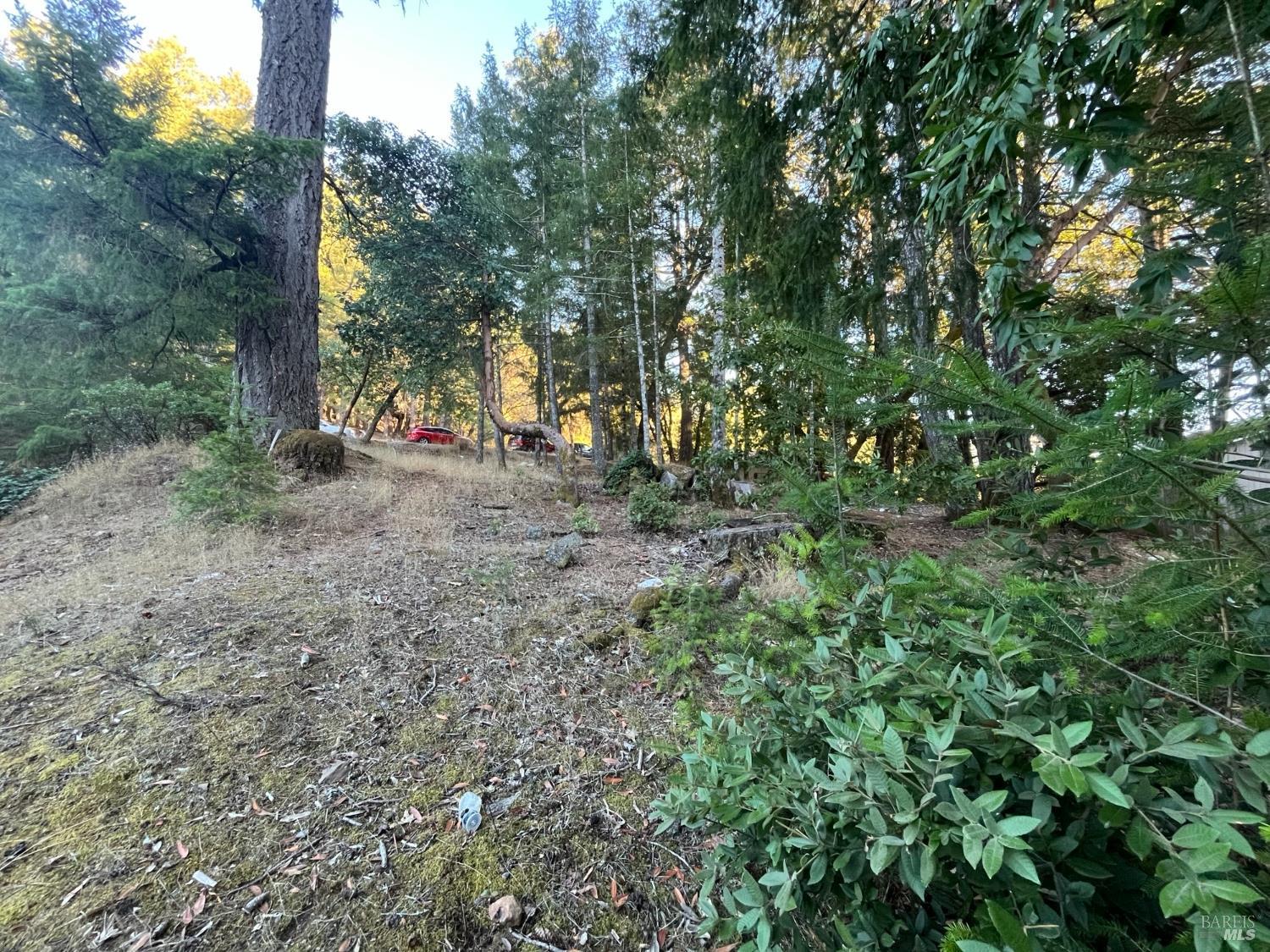 25350 Madrone Place Willits CA 95490