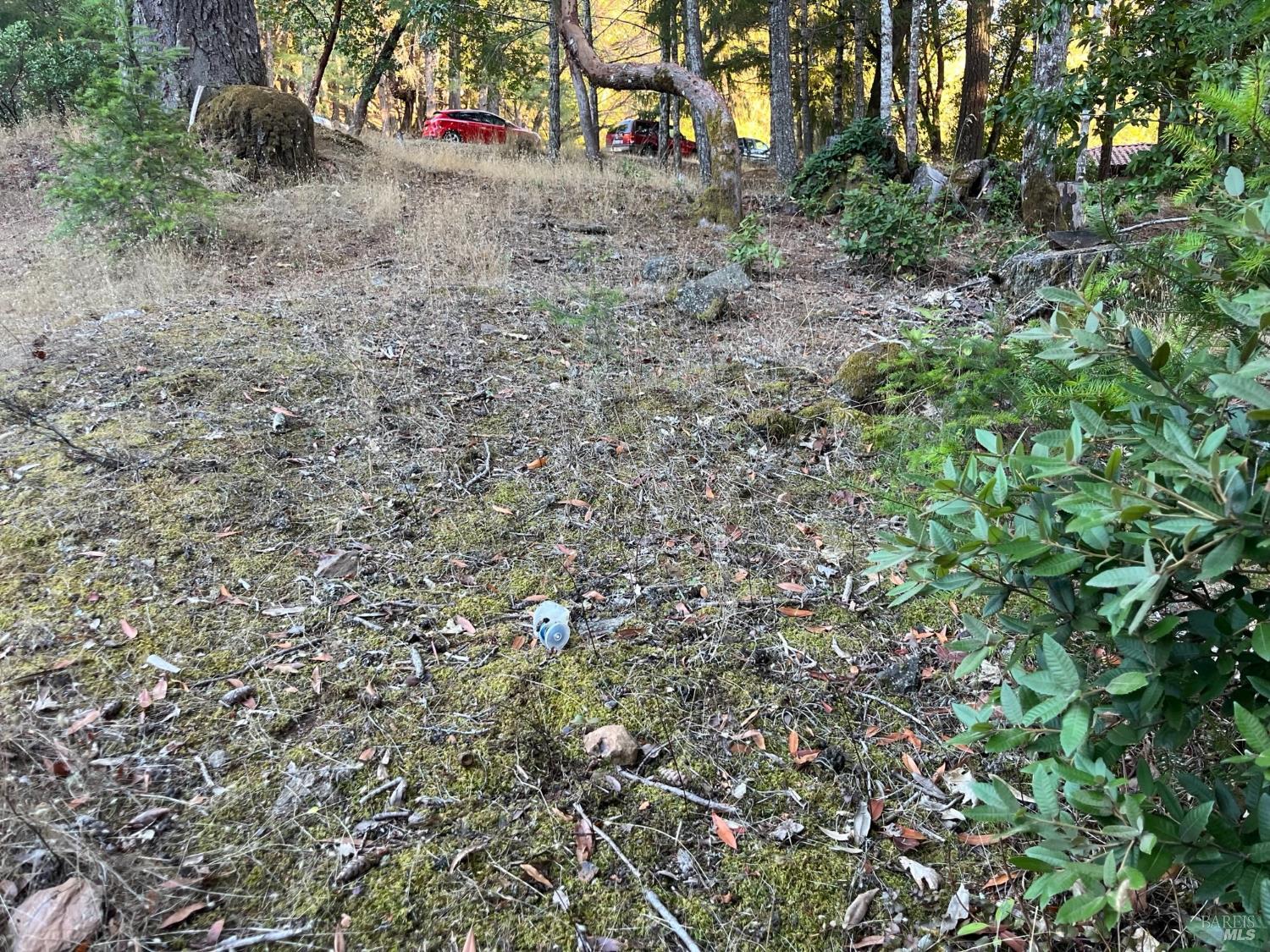 25350 Madrone Place Willits CA 95490