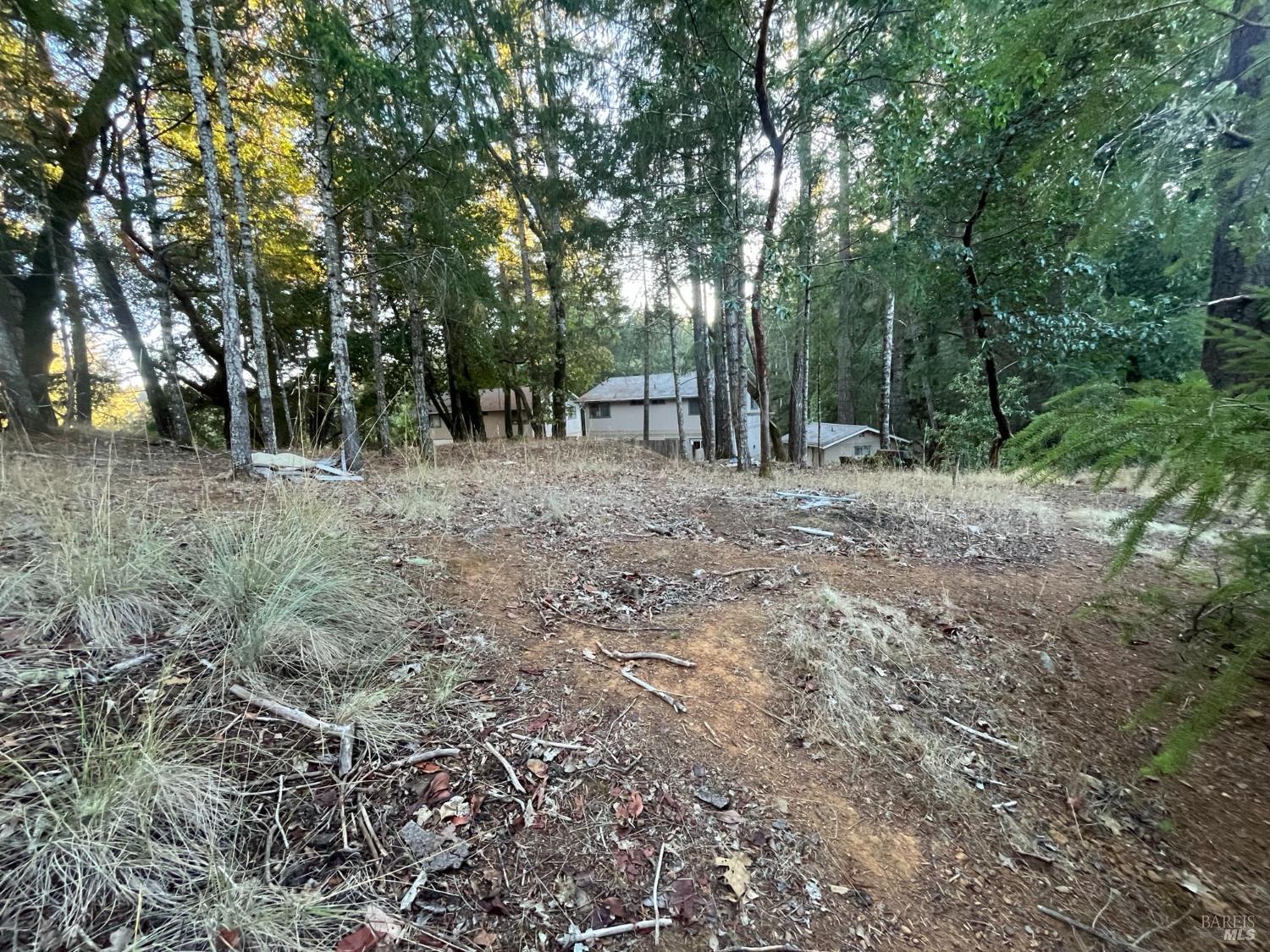 25350 Madrone Place Willits CA 95490