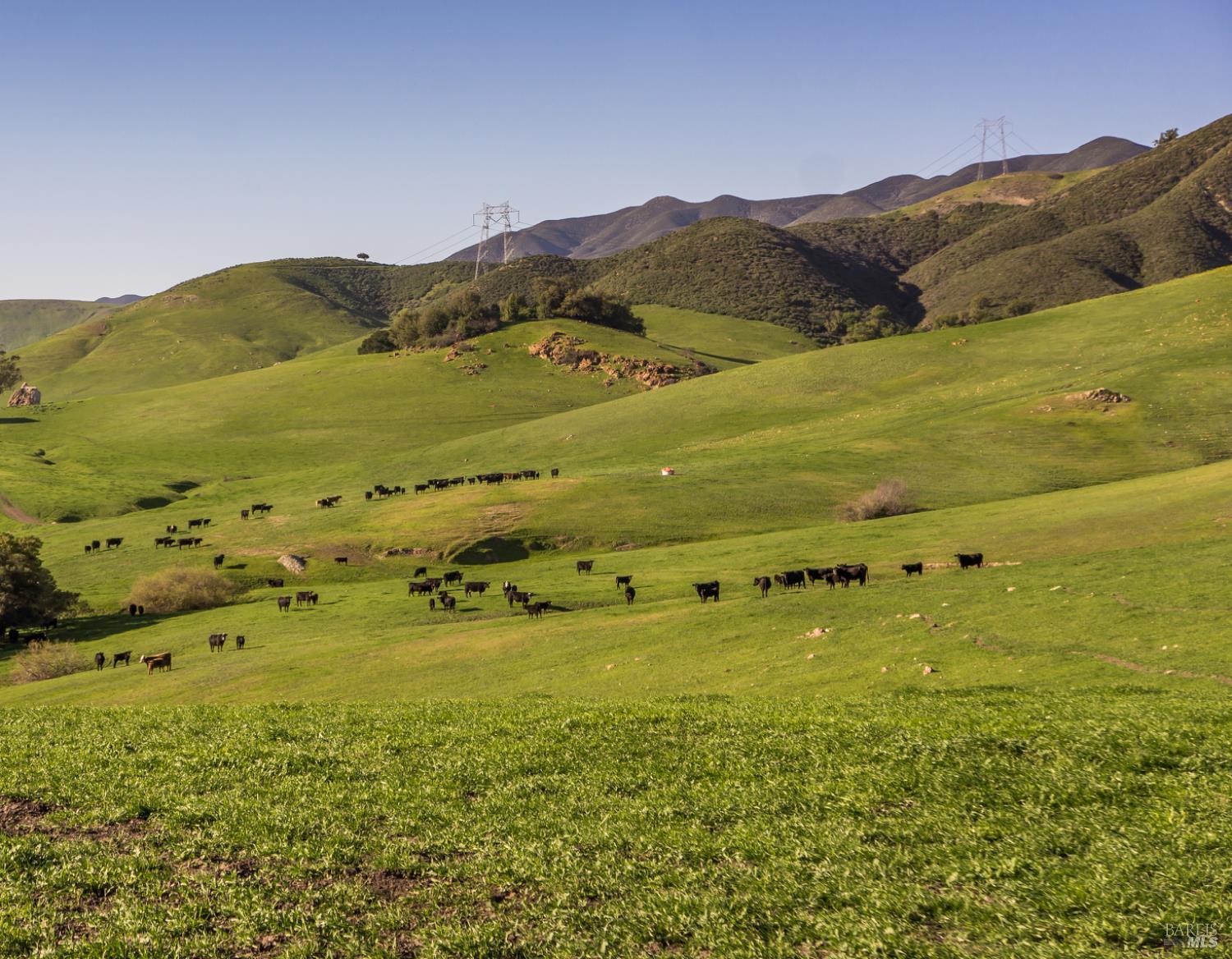 2440 Little Morro Creek Road Morro Bay CA 93442