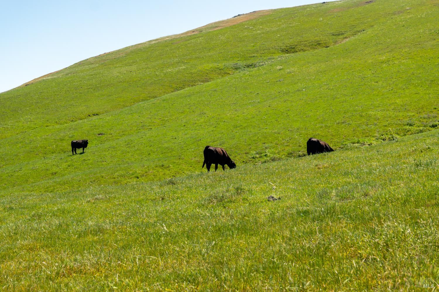 2440 Little Morro Creek Road Morro Bay CA 93442