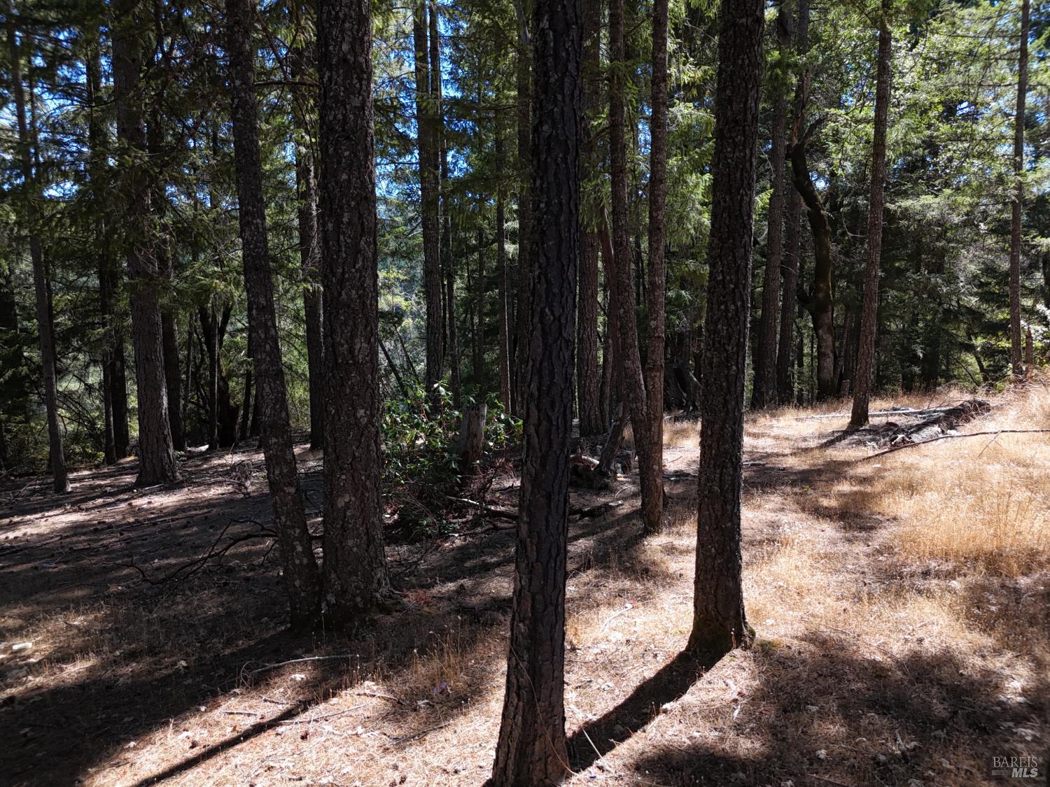 4501 Lakewood Drive Willits CA 95490