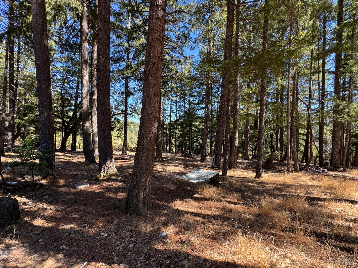 4501 Lakewood Drive Willits CA 95490