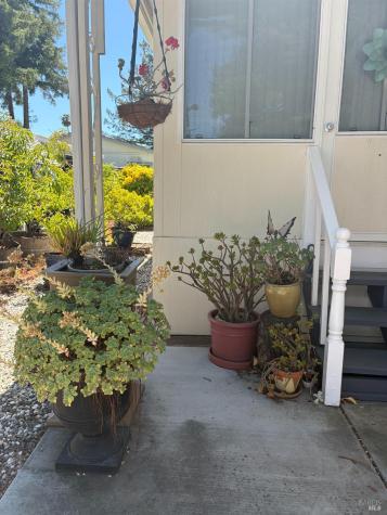 237 Petaluma Way Petaluma CA 94954
