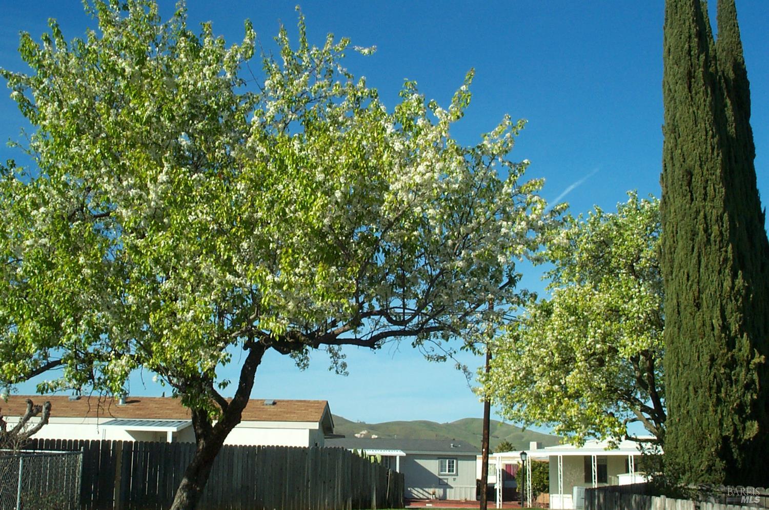 102 Royal Oak Court Fairfield CA 94533