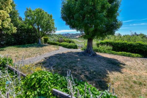 541 Mason Street Healdsburg CA 95448