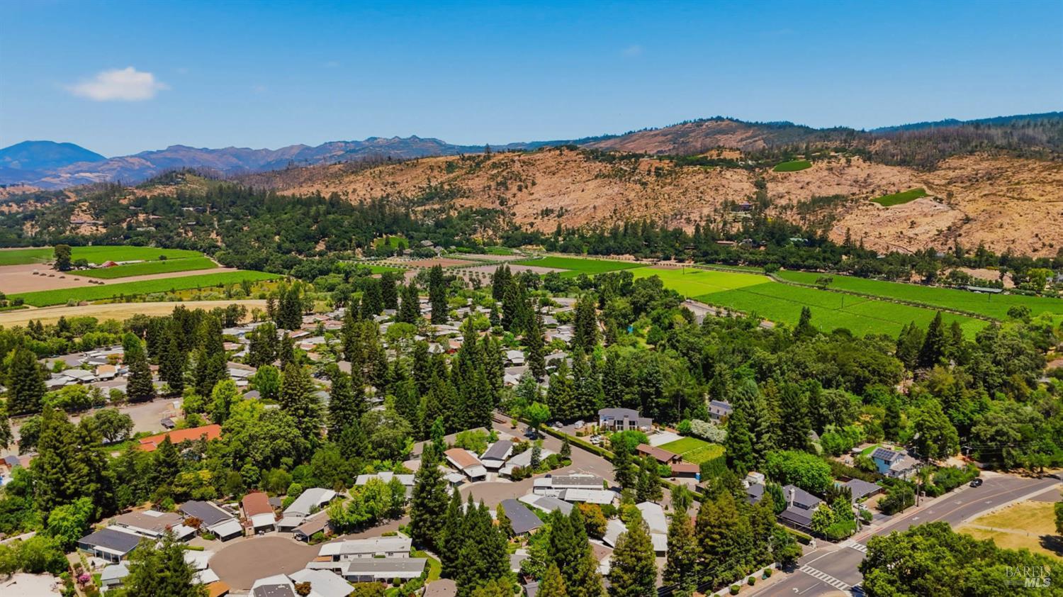 3 Laguna Seca Court St. Helena CA 94574