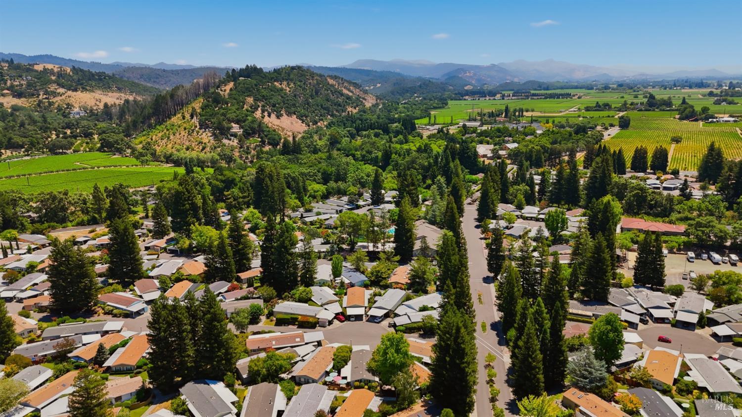 3 Laguna Seca Court St. Helena CA 94574
