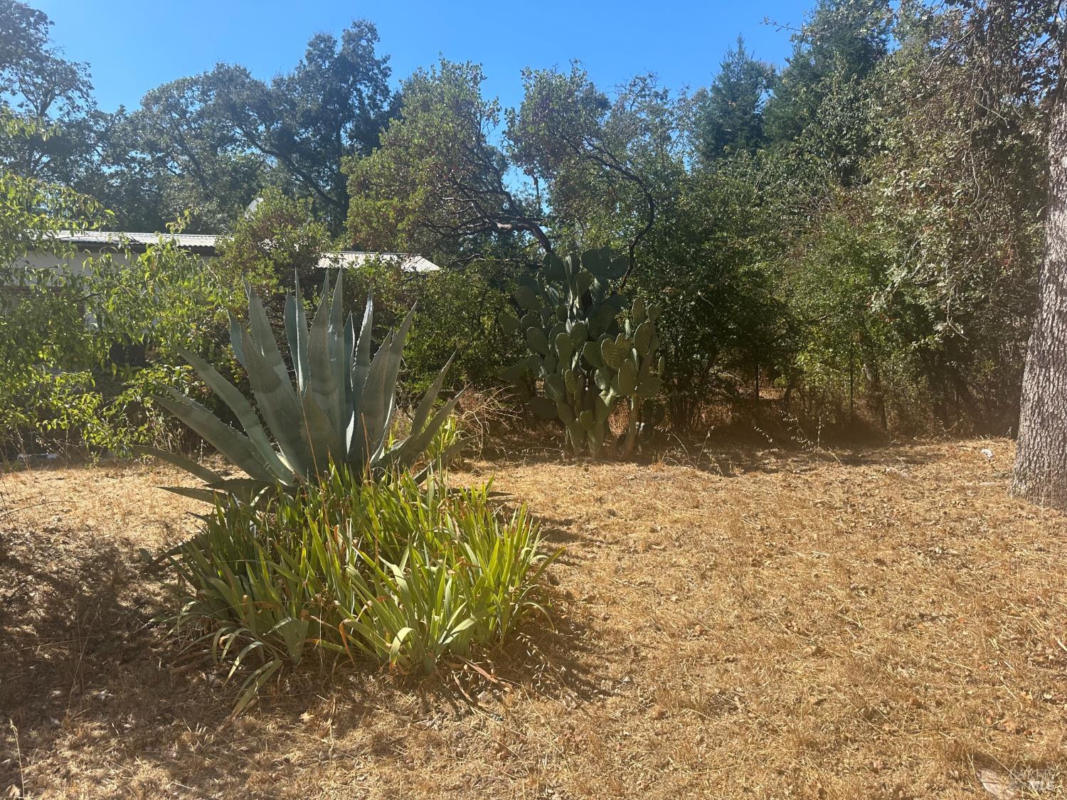 424 Clark Way Angwin CA 94508