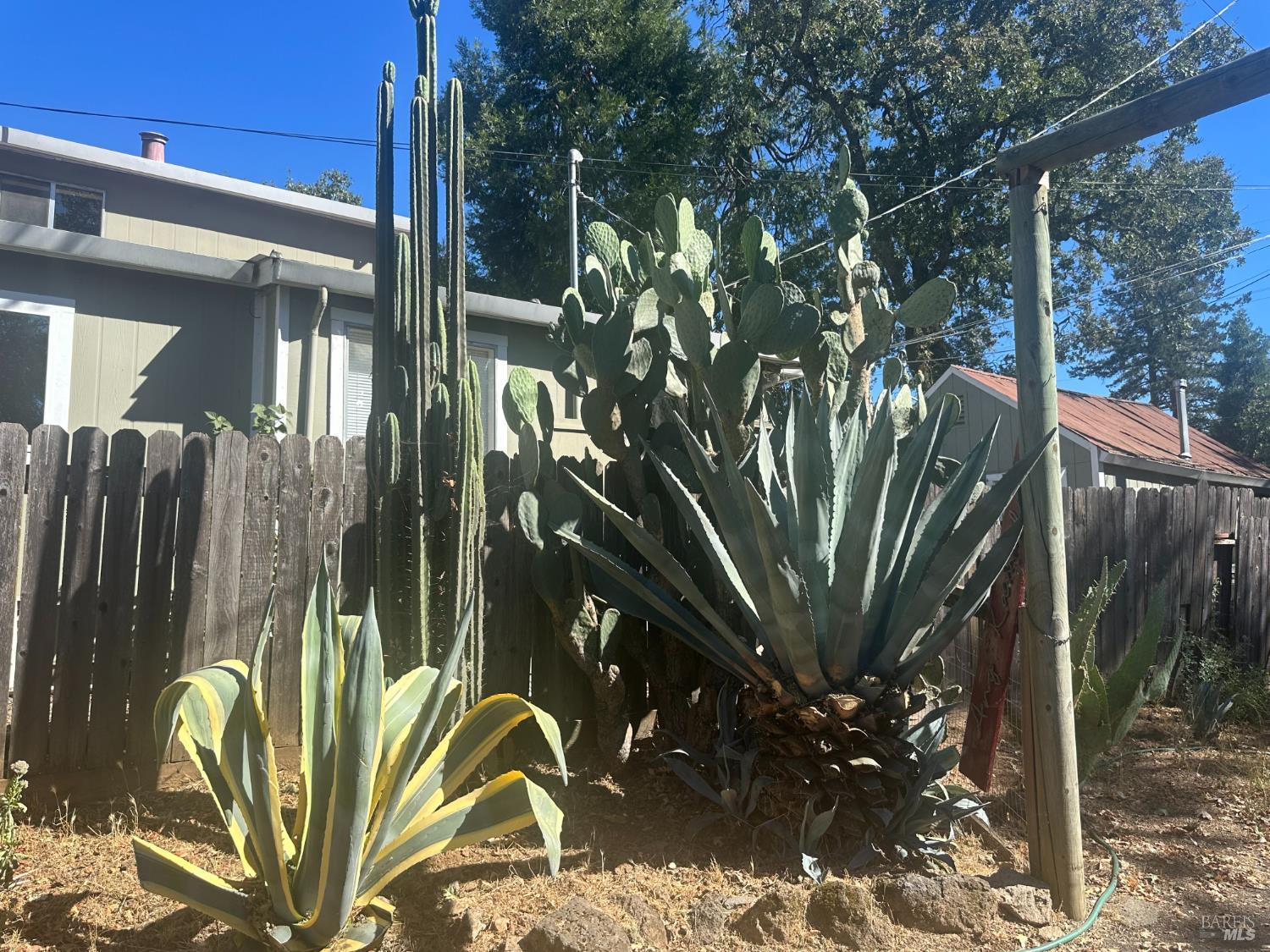 424 Clark Way Angwin CA 94508